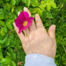 간산고택 이미지