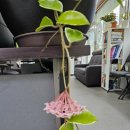 성광 공인중개사사무소 이미지