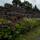 서귀포농업협동조합법환지점 이미지