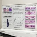 와우뷰티&브로우 | 당신의 속눈썹 정착지, 딱 여기입니다!ㅣ사상 엄궁 속눈썹 맛집 린브로우