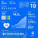 [수영 일기] 5월 수영, 접영 발차기 들어가는 수영 5개월차 수린이가 수영하고 급식먹고 사는 삶 🫧
