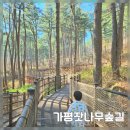 잣향기푸른숲 유아숲체험원 | 가평 가볼만한 곳 아이랑 가평잣향기 푸른숲 (유아숲체험원)
