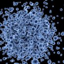 주식회사 생명 이미지