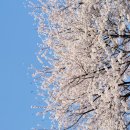 우리슈퍼 이미지