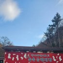 양지파인글램핑 | 용인 보고글램핑/양지파인리조트 숲속글램핑장/내돈내산 솔직후기