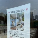나무아래모모