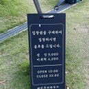 파인트리하우스 이미지
