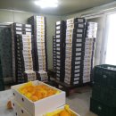 왕눈이농장 이미지