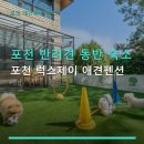 포천 럭스제이 애견펜션 | 포천 반려견 동반 숙소 포천 럭스제이 애견펜션 주차 편리·예약 필수 정보