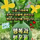 8월19일 토요일 출석방 활짝엽니다.~^^ 이미지