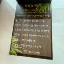 한들로 이미지