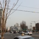 장안멸치국수 이미지