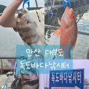 독도바다낚시터 | [대부도 독도바다낚시터] 10시간 낚시 결과! 어떤 물고기들이 나왔을까?