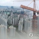 마이본1호 이미지