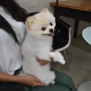 동안구청-1 이미지