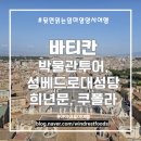 디스킨 포 마이레오 | [로마] 초4 아이와 바티칸 투어 패스트트랙 후기, 성베드로대성당 쿠폴라 개별입장, 희년문 통과...