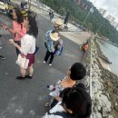 산호호텔 | 파타야 패키지여행 모녀여행 내돈내산 후기 - 2일차 [웨이호텔/산호섬투어/터미널 21 파타야/콜로세움쇼...