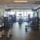 Vamos Gym 이미지