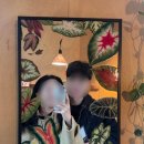 모디스트 임팩트