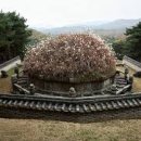 언니비어 이미지