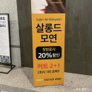 살롱드모연
