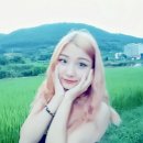 진하누 이미지