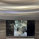 미스터홍 이미지