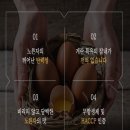 네이처킹덤 이미지