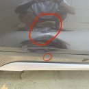 워시엔카 이미지