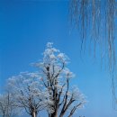 두물머리 이미지