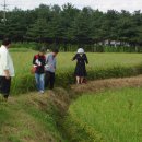 좋은영농조합법인 이미지