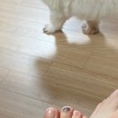 세용농장 이미지