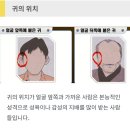 "이런 귀를 가진 사람은 경제적으로 성공하게 되고...." 관상서로 알아보는 내 귀 관상 이미지