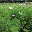 녹색중앙의원 이미지