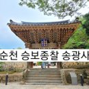 삼보서점 이미지