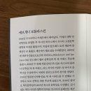 라우루스 이미지