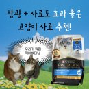 고양이 방광 슬러지+사료토 고민 해결! 퓨리나 프로플랜 유리너리 사료 내돈내산 후기