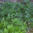 자연은동물병원 이미지