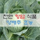 천연 항암 식품=양배추 효능 10가지 이미지