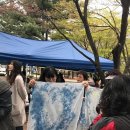 살랑제주 이미지