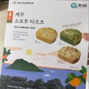 그늘막37 | 소길별하 애월 소품샵 내돈내산 후기 (입장료, 예약, 주차, 공간, 구매 후기)