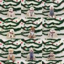 꾸니베어 이미지