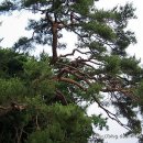 빗접바위 이미지