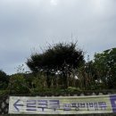 르쿠쿠 이미지