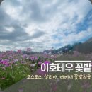 지에스25 이호해수욕장점 이미지