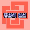 송동로-12 이미지