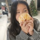 태현농장 이미지