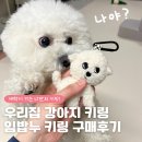 우리집 강아지 | 우리집 강아지 닮은 키링 구매후기 커스텀 키링 LIMBOBNU