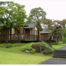 전원향기 이미지