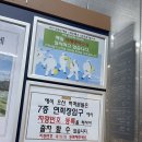 라온제나강남 네이버블로그